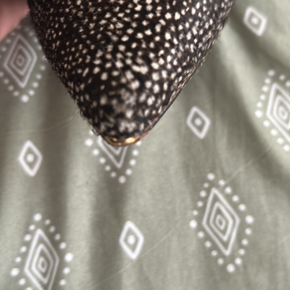 Gorgeous Tory boots - Picture 4 of 8